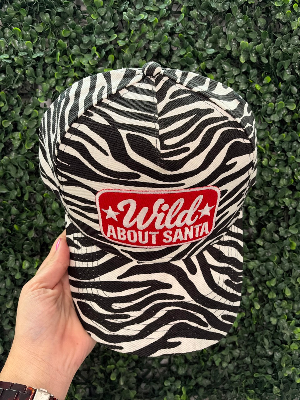 *Wild* about Santa / Zebra Hat
